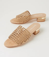 Load image into Gallery viewer, Tropics Suede Sandals