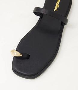 Jenifer Slides