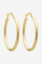 Load image into Gallery viewer, Erika Hoop Earrings