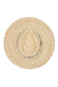 Dion Fedora